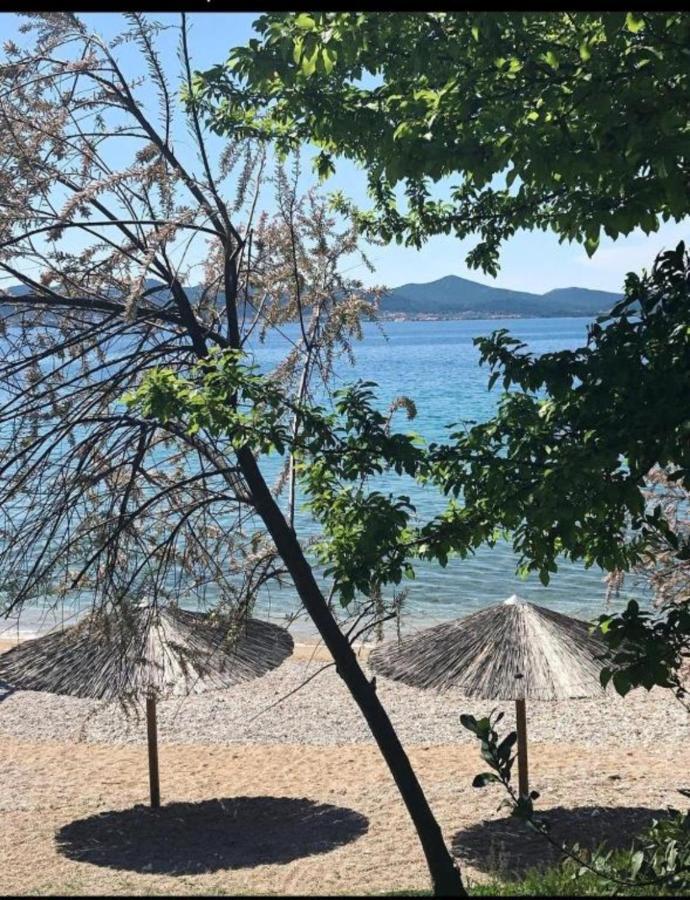 Luxury Majpruz Suites I Zadar Ngoại thất bức ảnh